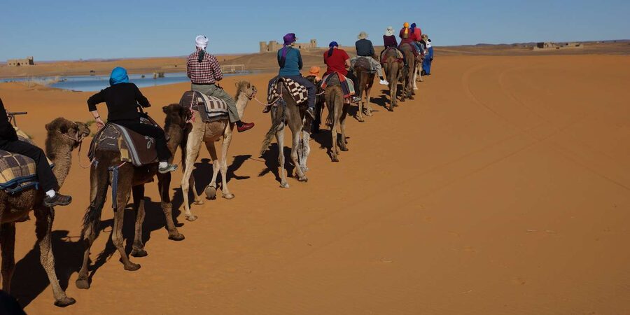 Agadir: Flamingo River Camel Ride - Riding through Aghroud Bensergao