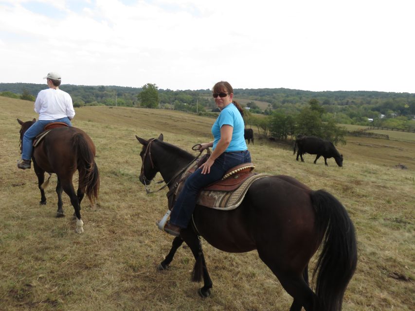 Agadir: Guided Horse Riding Along Flamingo River with Tea - Two hours between Agadir’s dunes and river