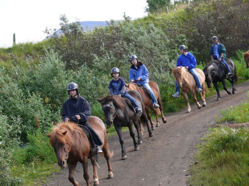 Agadir: Guided Horse Riding Along Flamingo River with Tea - Flamingo River and the reality of wildlife viewing
