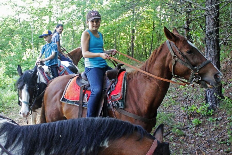 Agadir: Guided Horse Riding Along Flamingo River with Tea - Who will enjoy this ride most?