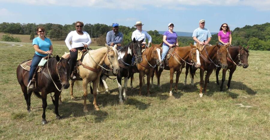 Agadir: Guided Horse Riding Along Flamingo River with Tea - What riding the horses is really like