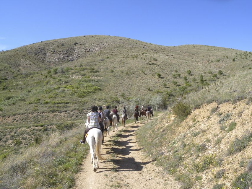 Agadir Horse Riding visite the flamingo river with tea drink - What the two-hour schedule really gives you
