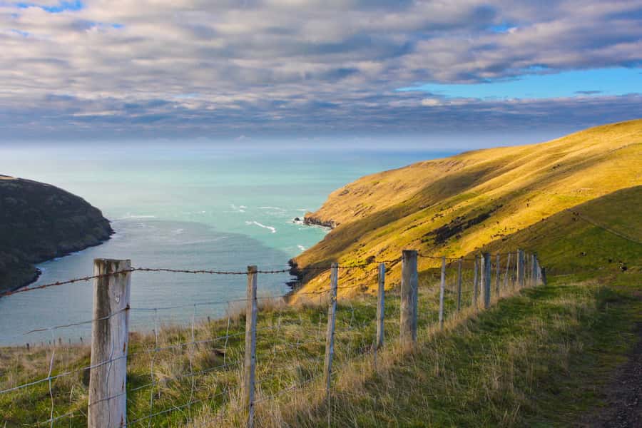 Akaroa: Pohatu Little Penguins 3-Hour Evening Experience - What to wear and how to manage the evening