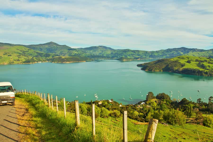 Akaroa: Pohatu Penguins Scenic Nature 2-Hour or 4-Hour Tour - Key points before you book