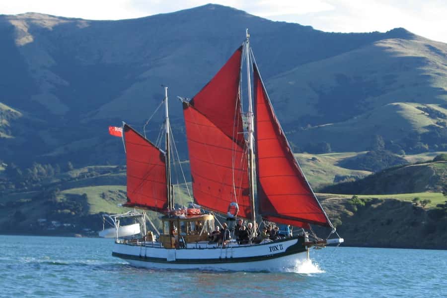 Akaroa: Wildlife Cruise with Dolphins and Penguins - Akaroa Harbour and the volcanic crater