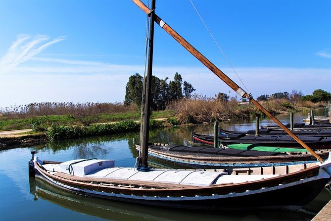Albufera: Lake, Paella and Birdwatching - Practical details that can affect your decision