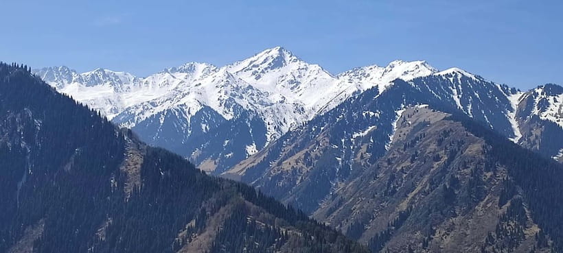 Almaty: Falconry show and Big Almaty Gorge - Booking details worth knowing