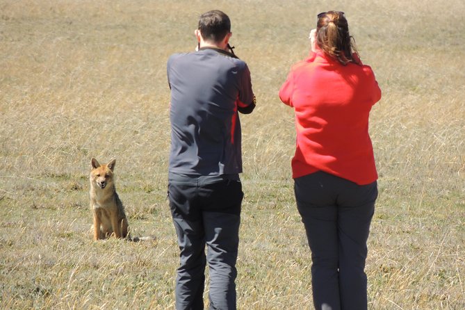 Antisana and Condors Watching Day Trip - Hiking beside Mica Lake at 4,050 meters