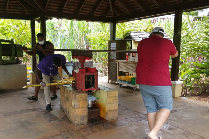 Appleton Estate Rum Tour and Pelican Bar Customize Tour - From Montego Bay to Jamaica’s south coast