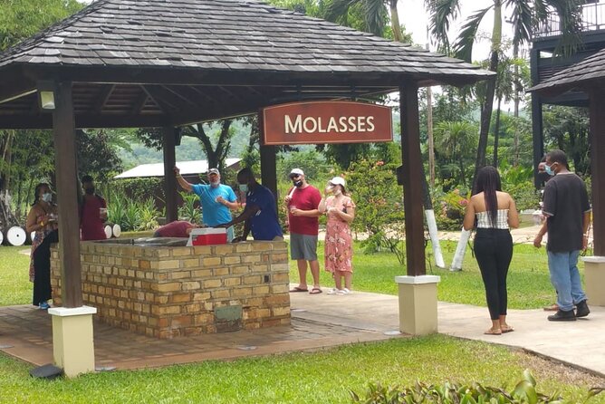 Appleton Estate Rum Tour and Pelican Bar Customize Tour - What the private format changes