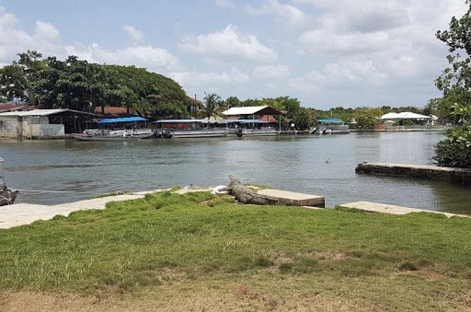 Appleton Estate Rum, YS Falls, Black River Safari / Floyd's Pelican Bar Tour - Black River Safari: Jamaica from the water