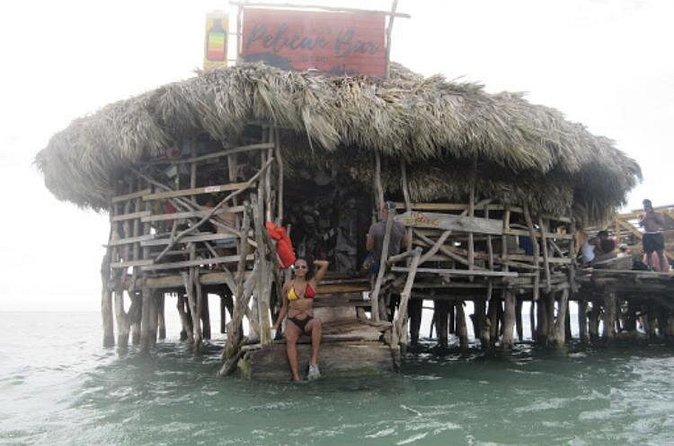 Appleton Estate Rum, YS Falls, Black River Safari / Floyd's Pelican Bar Tour - What the $275 price really covers