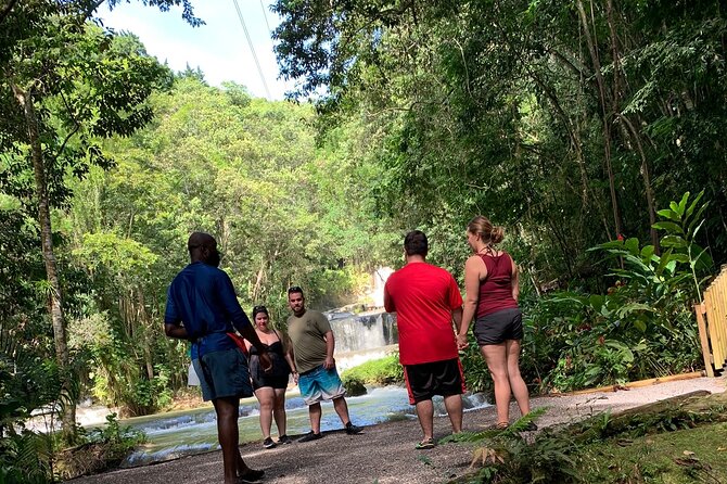 Appleton estate,YS Falls,Black River Safari,Pelican Bar(any 3of4) - Appleton Estate: the rum option