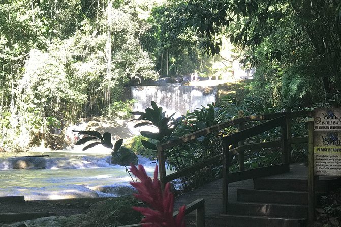 Appleton Rum Factory, Ys Falls, Black River Safari, Floyd’s Pelican Bar - Cruising the Black River