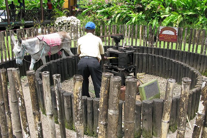 Appleton Rum Tour and Floyd’s Pelican Bar from Montego Bay Hotels and Villas - Weather and cancellation details