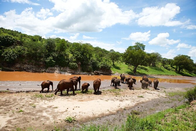 Arusha: 3-Day Safari Tarangire, Flamingo Walk Lake Natron Tour - Why Tarangire and Lake Natron work well together