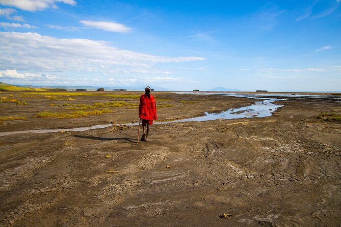 Arusha: 3-Day Safari Tarangire, Flamingo Walk Lake Natron Tour - The private format and the guiding experience