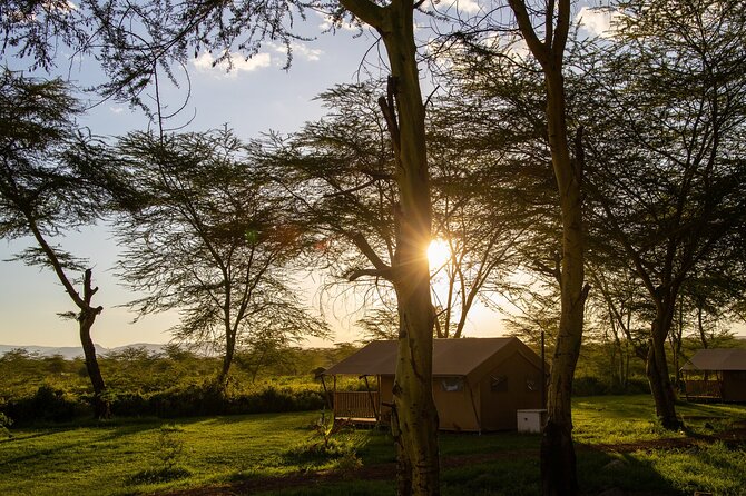 Arusha: 3-Day Safari Tarangire, Flamingo Walk Lake Natron Tour - Who should book this three-day route?