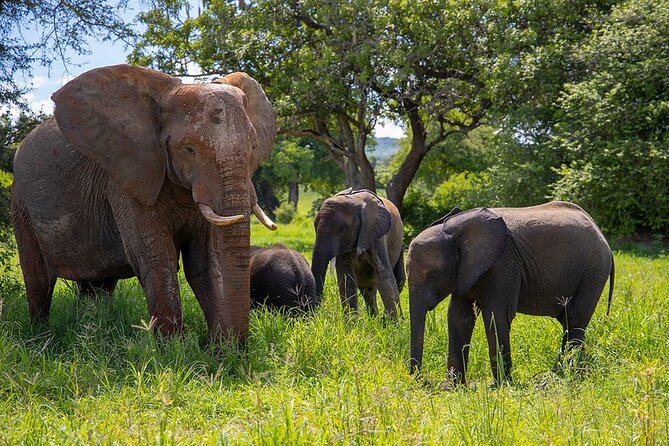 Arusha: 3-Day Safari Tarangire, Flamingo Walk Lake Natron Tour - Day 2: The road to Lake Natron