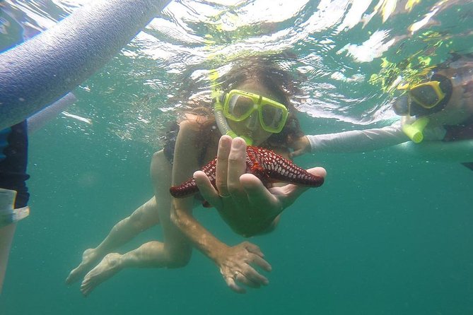 ATV and Snorkel from Playa Flamingo - Key points to know before you book