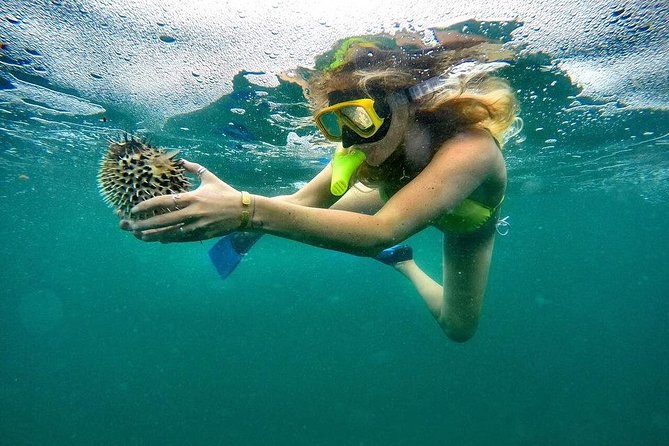 ATV and Snorkel from Playa Flamingo - From Playa Flamingo roads to Playa Minas