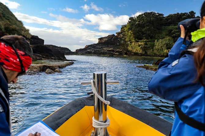 Azores Marine Birdwatching Expedition w/ Biologist Guide - The ride itself: quick, exposed, and weather dependent
