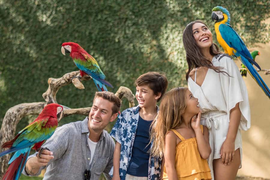 Bali Bird Park 1-Day Admission Ticket - A World Tour Through Bali’s Bird Habitats