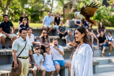 Bali Bird Park: 1-Day Admission Ticket