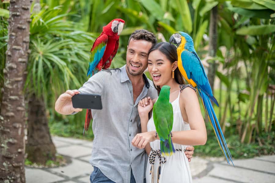 Bali Bird Park 1-Day Admission Ticket - The Komodo Experience and Bird of Prey Show