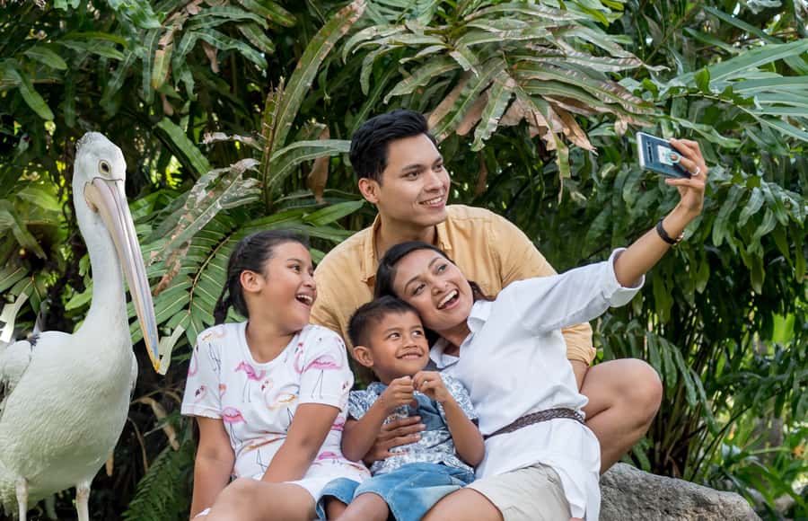 Bali Bird Park 1-Day Admission Ticket - Noon Shows and the Bali Starling Restaurant