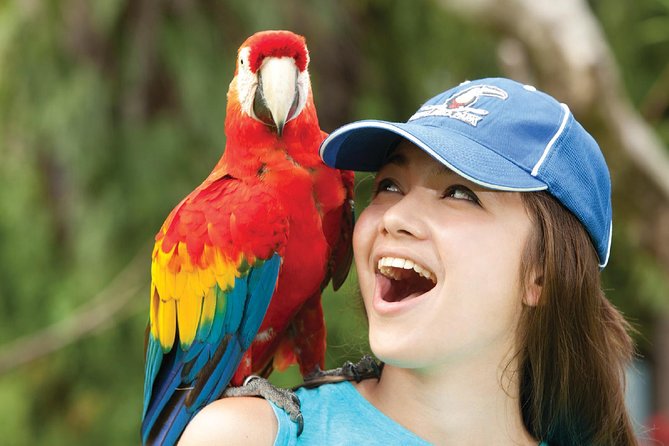 Bali Bird Park Admission Ticket - What your three hours at Bali Bird Park look like
