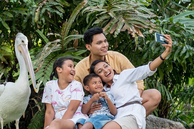 Bali Bird Park Admission Ticket - Feeding sessions and close encounters
