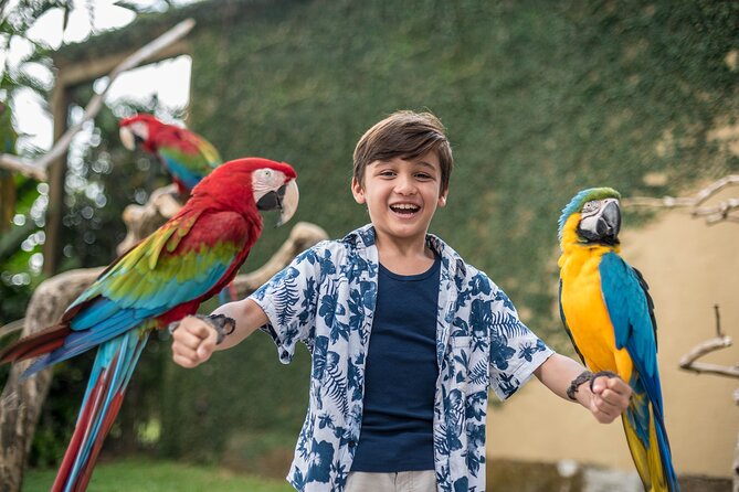 Bali Bird Park Admission Ticket - The bird collection: colorful variety rather than a single star