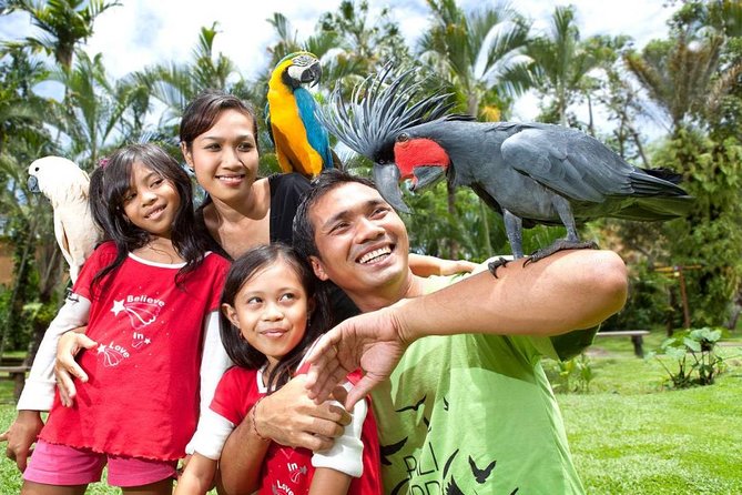 Bali Bird Park Admission Ticket with Hotel Transfer - What the Bali Bird Park visit is really like