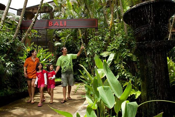 Bali Bird Park Admission Ticket with Hotel Transfer - Is $38 good value?