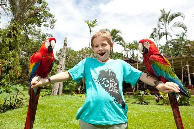 Bali Bird Park Admission Ticket with Hotel Transfer - Who will enjoy this most?
