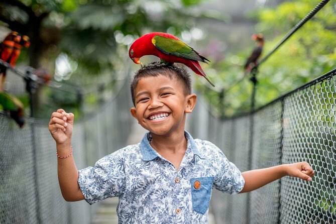 Bali Bird Park Admission Ticket - Free-flight shows at 10:30 am and 4 pm