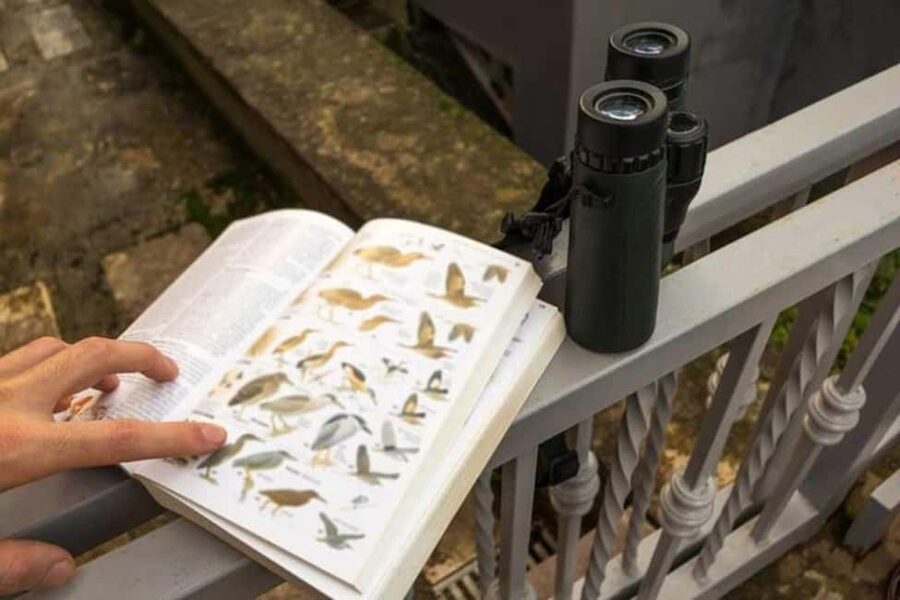 Barbados: Bird Watching Experience - Key points to know before you book