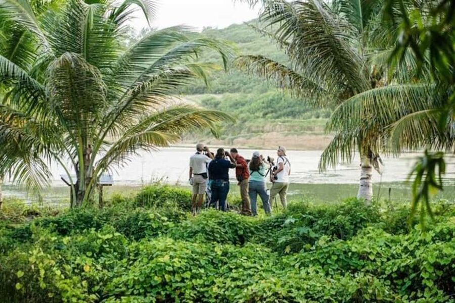 Barbados: Bird Watching Experience - What to wear and bring