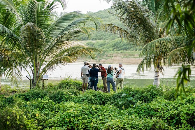 Barbados Bird Watching Experience (Transport Included) - A birding trip with wheels and walking