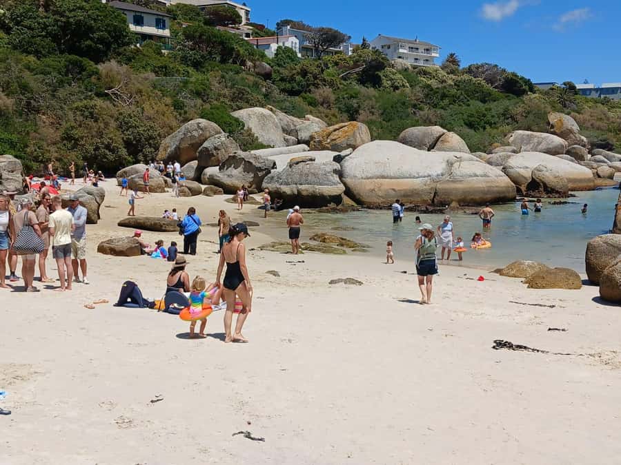 Beach Day at Boulder's Beach & Penguin watching, Half Day - Key points to know before booking