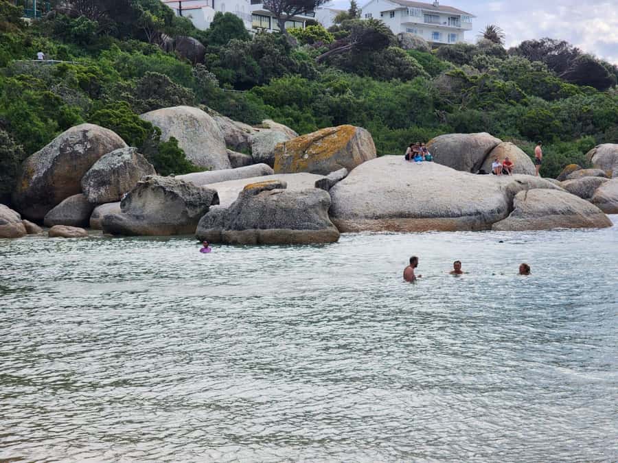 Beach Day at Boulder's Beach & Penguin watching, Half Day - Should you book the Boulders Beach half-day?