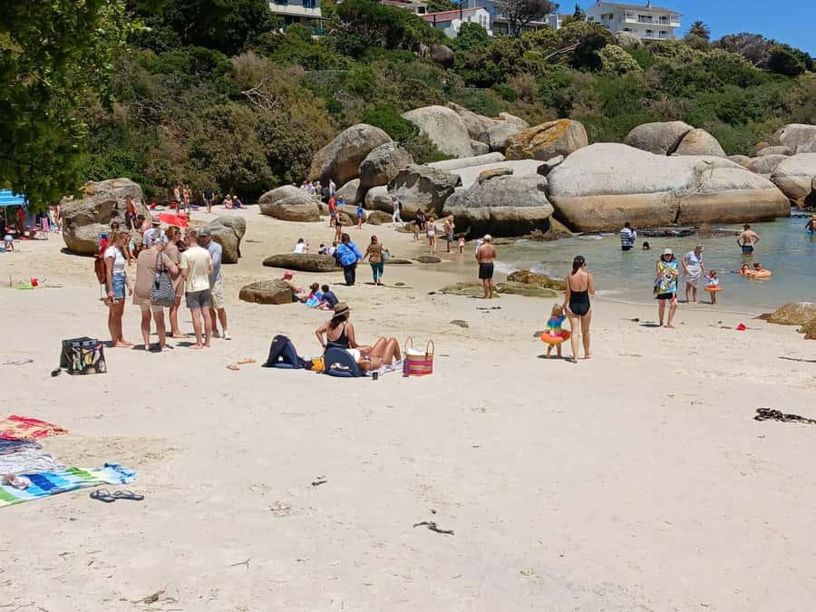 Beach Day at Boulder's Beach & Penguin watching, Half Day - The vehicle, guide, and group-tour rhythm