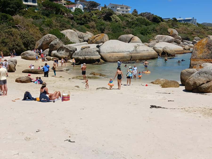 Beach Day at Boulder's Beach & Penguin watching, Half Day - What the $36 price really covers