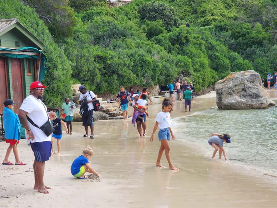 Beach Day at Boulder's Beach & Penguin watching, Half Day - Who should choose this excursion