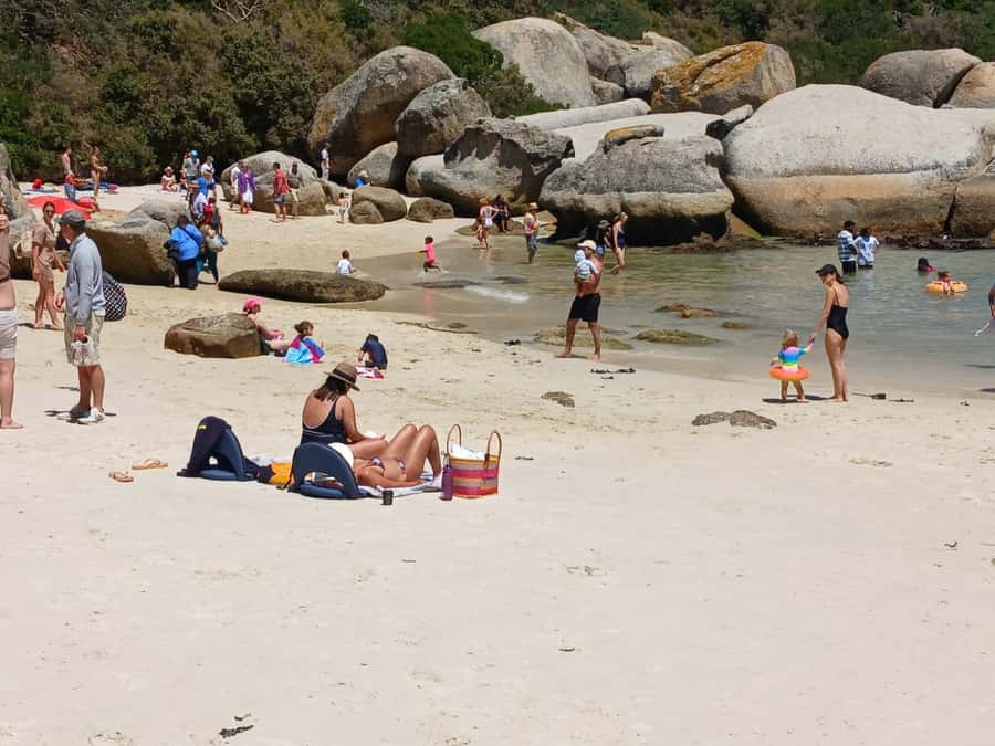 Beach Day at Boulder's Beach & Penguin watching, Half Day - Maiden’s Cove and the Camps Bay postcard
