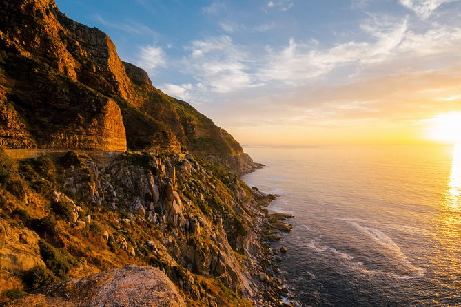 Best Cape Point/Cape of Goodhope/Penguins/Kirstenbosch - Boulders Beach and the African penguin colony