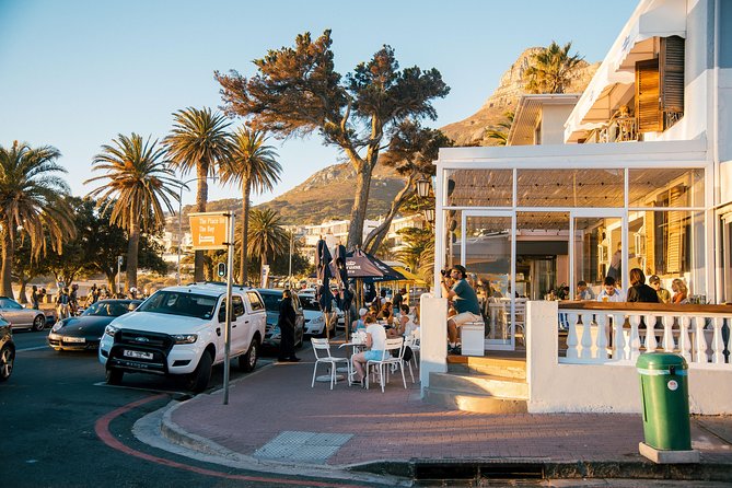 Best Cape Point/Cape of Goodhope/Penguins/Kirstenbosch - Hout Bay: seals, boats, and a working harbour