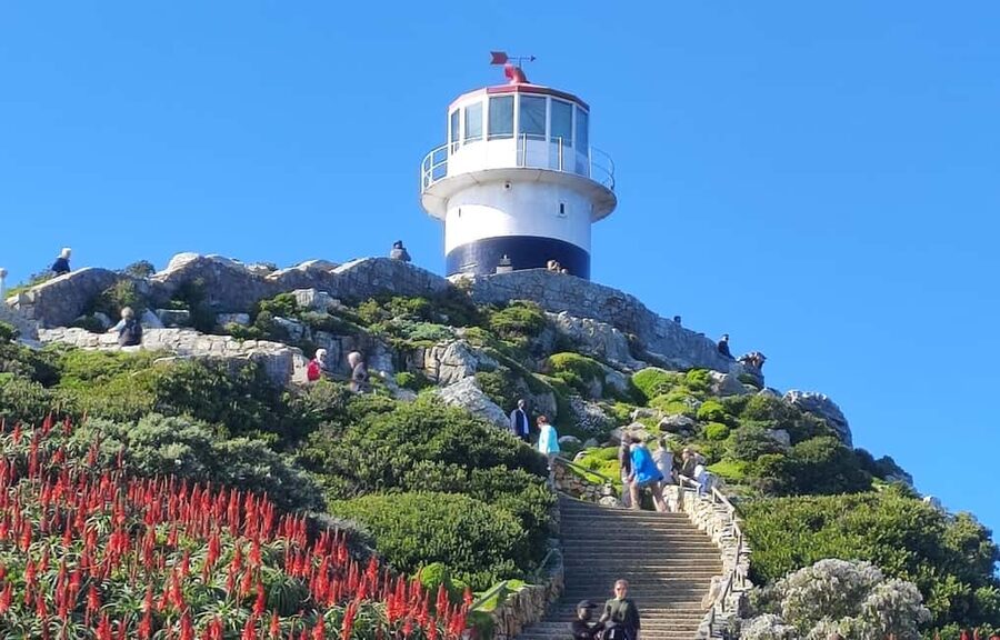 Best of Cape Private Tour Cape Point+Penguins+Table Mountain - Cape of Good Hope and Cape Point