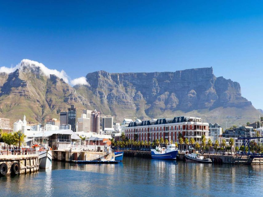 Best of Cape Private Tour Cape Point+Penguins+Table Mountain - Who will get the most from this tour